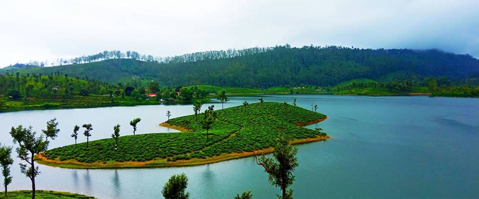 Bangalore Mysore Coorg Ooty Tour