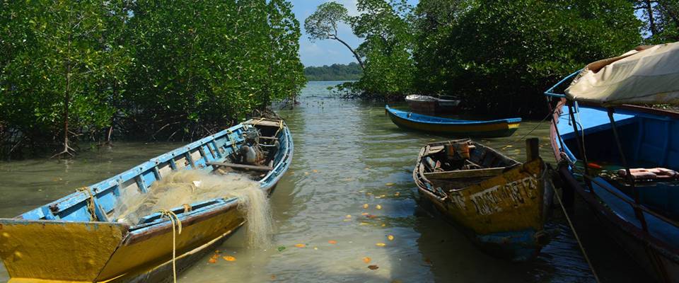 Beach Fun In Andaman with Flexi Flights