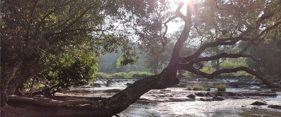 Coorg Kabini Ex Bangalore