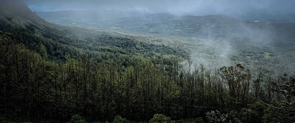 Coorg Kabini Ex Bangalore