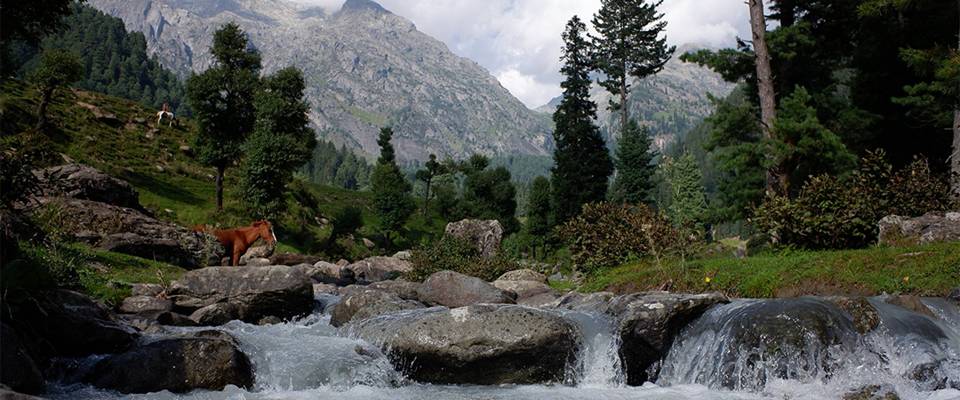 Exotic Kashmir with Gulmarg