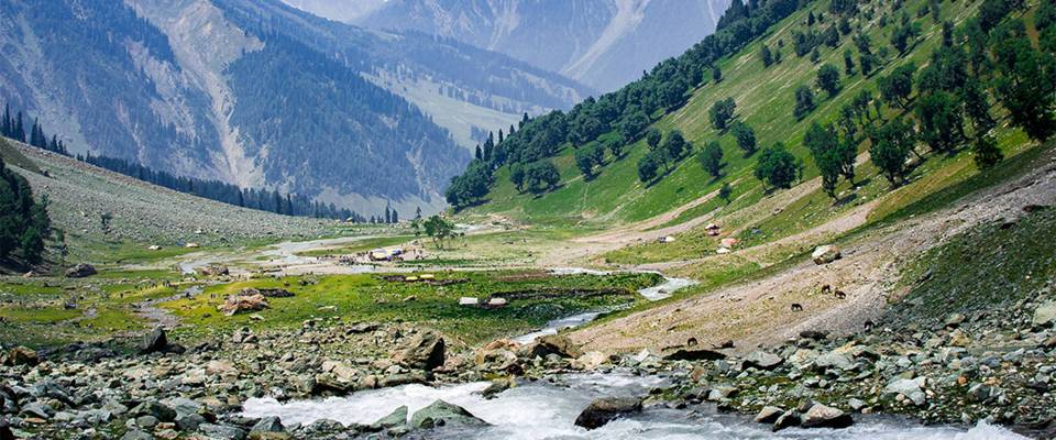 Exotic Kashmir With Sonmarg