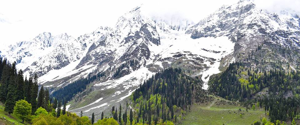 Exotic Kashmir With Sonmarg - Durga Puja Special