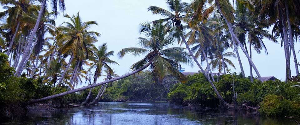 Exotic Kerala