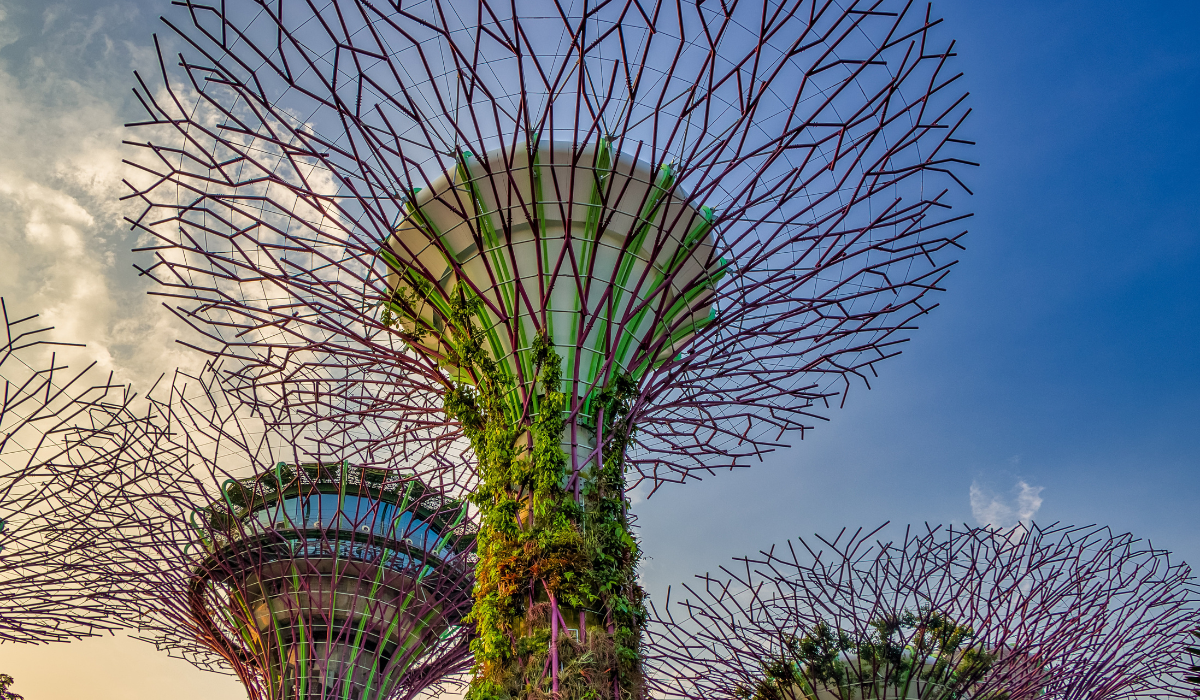 Highlights Of Singapore 3N/4D International Customized Tour Package With Optional Flight