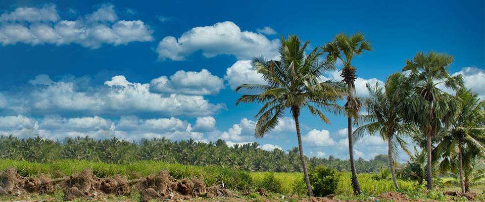 Kerala At Ease