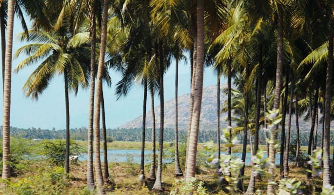 Luxury - Exceptional Kerala 6N/7D Domestic Customized Tour Package With Optional Flight