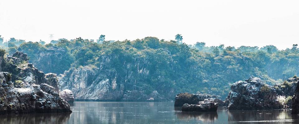 Madhya Pradesh Charm With Wild Life