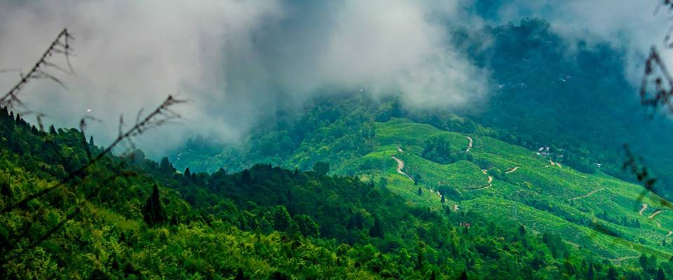 North East Delight With Pelling - Deluxe (Air Inclusive)