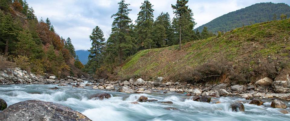 Striking Bhutan