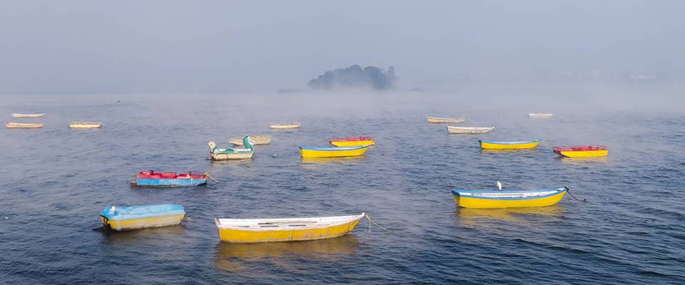 Wildlife & Hills Of Madhya Pradesh